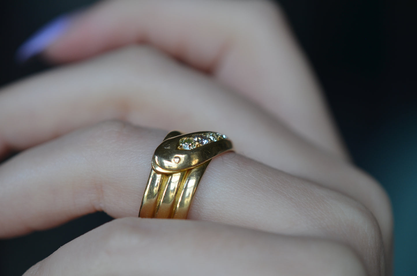 Entrancing Coiled Snake Ring 1906