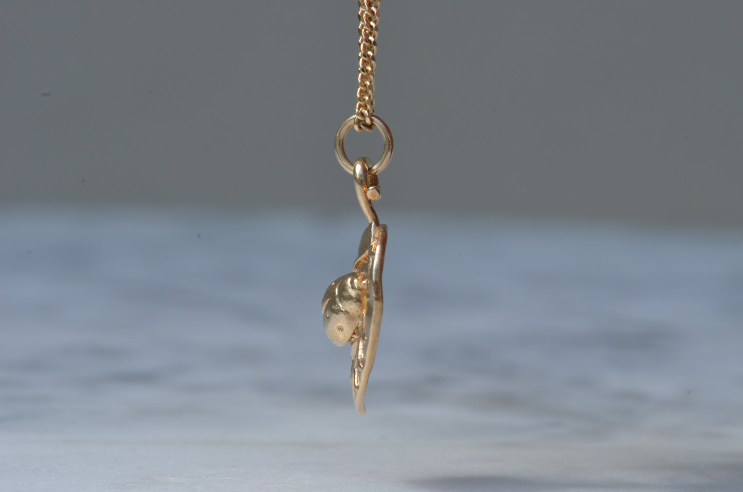 Ladybug on a Leaf Charm