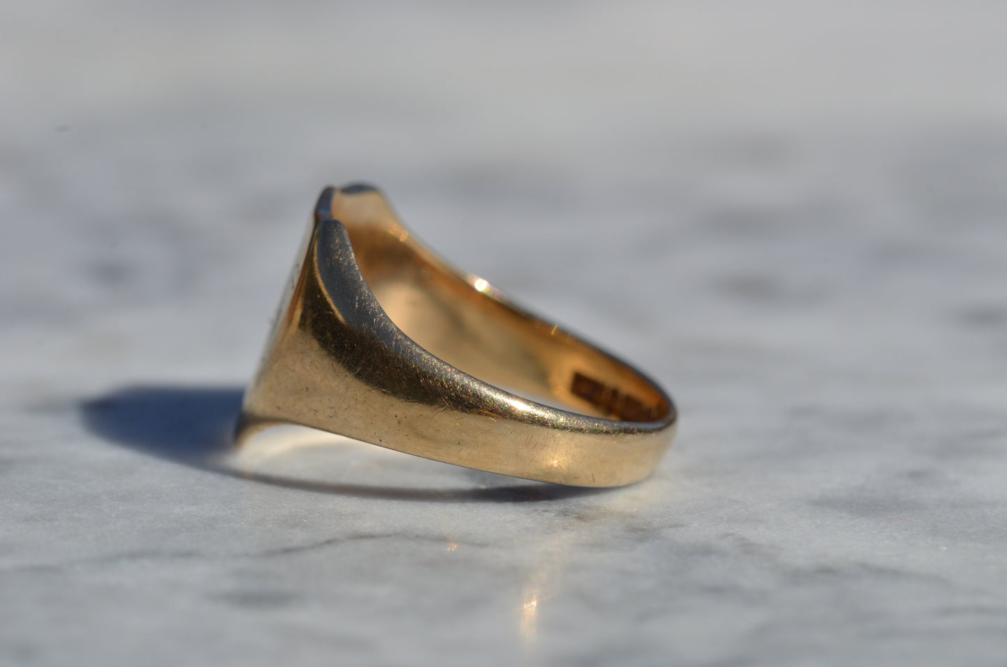 Sleek Lion Signet Ring