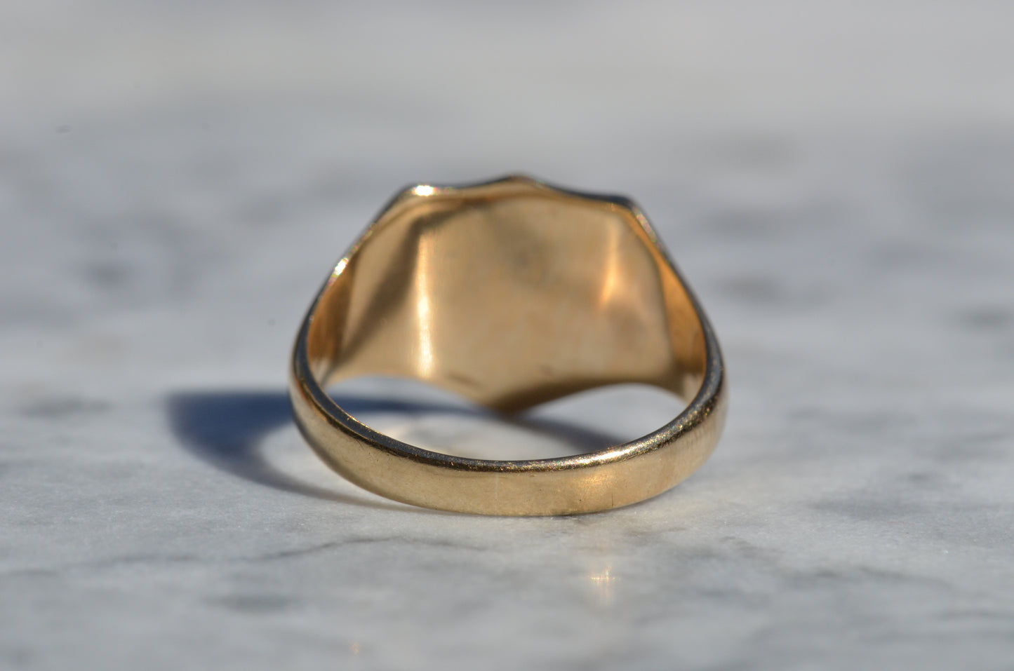 Sleek Lion Signet Ring