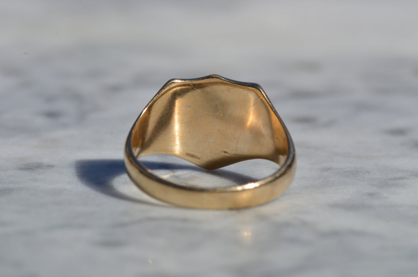 Sleek Lion Signet Ring