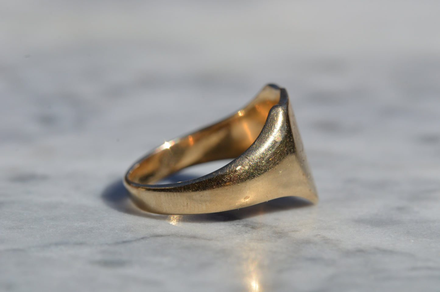 Sleek Lion Signet Ring