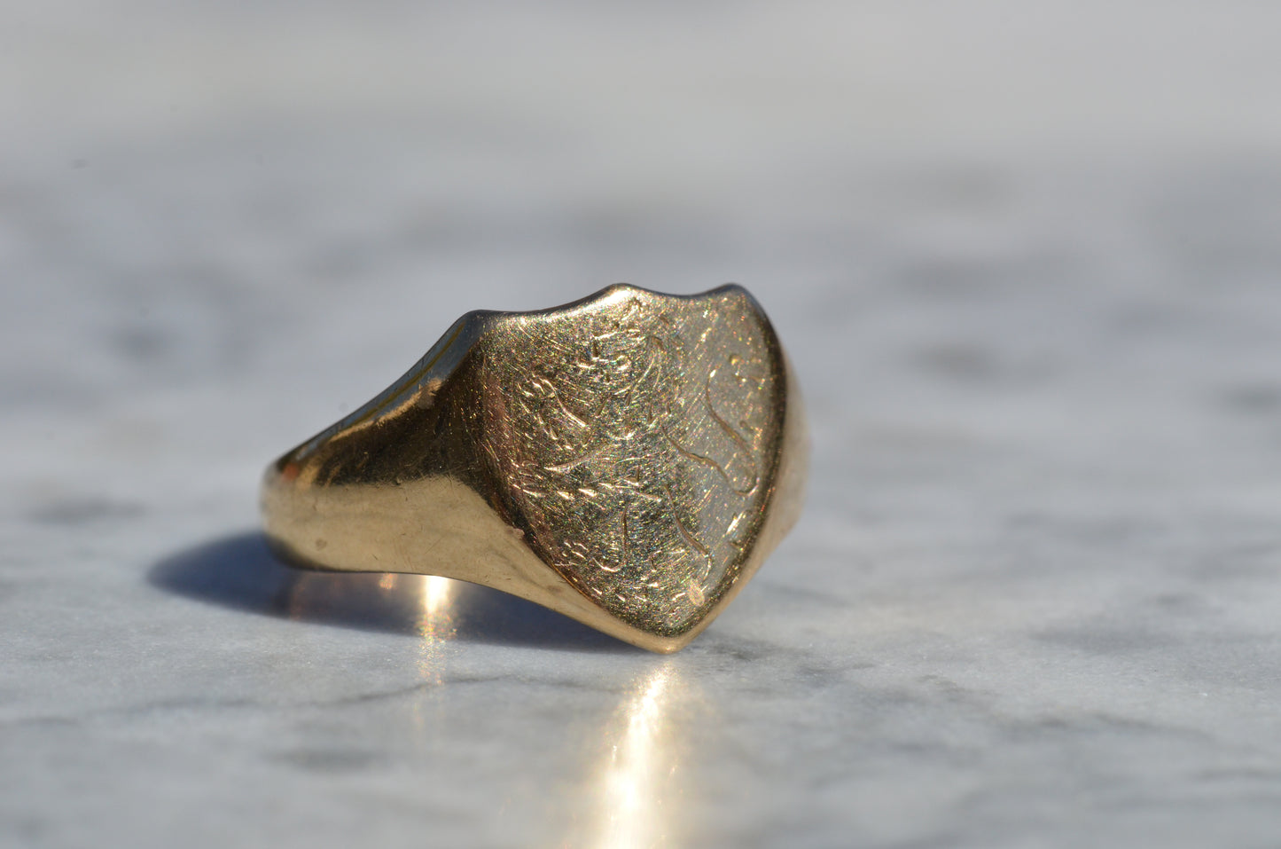 Sleek Lion Signet Ring