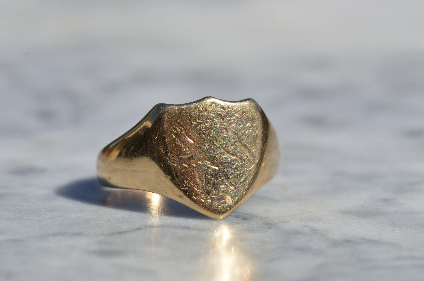 Sleek Lion Signet Ring