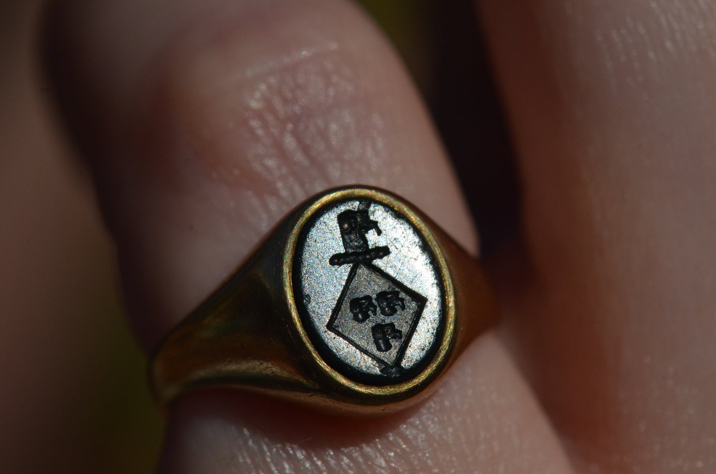 Petite Bloodstone Crest Ring