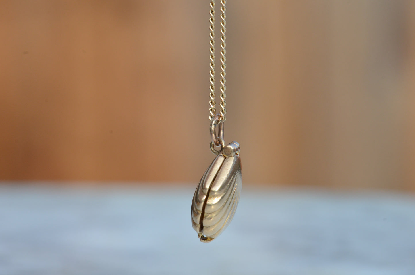 Locket Pearl Shell Charm