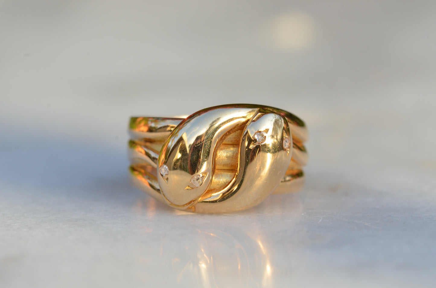 Chunky Antique Twin Snake Ring