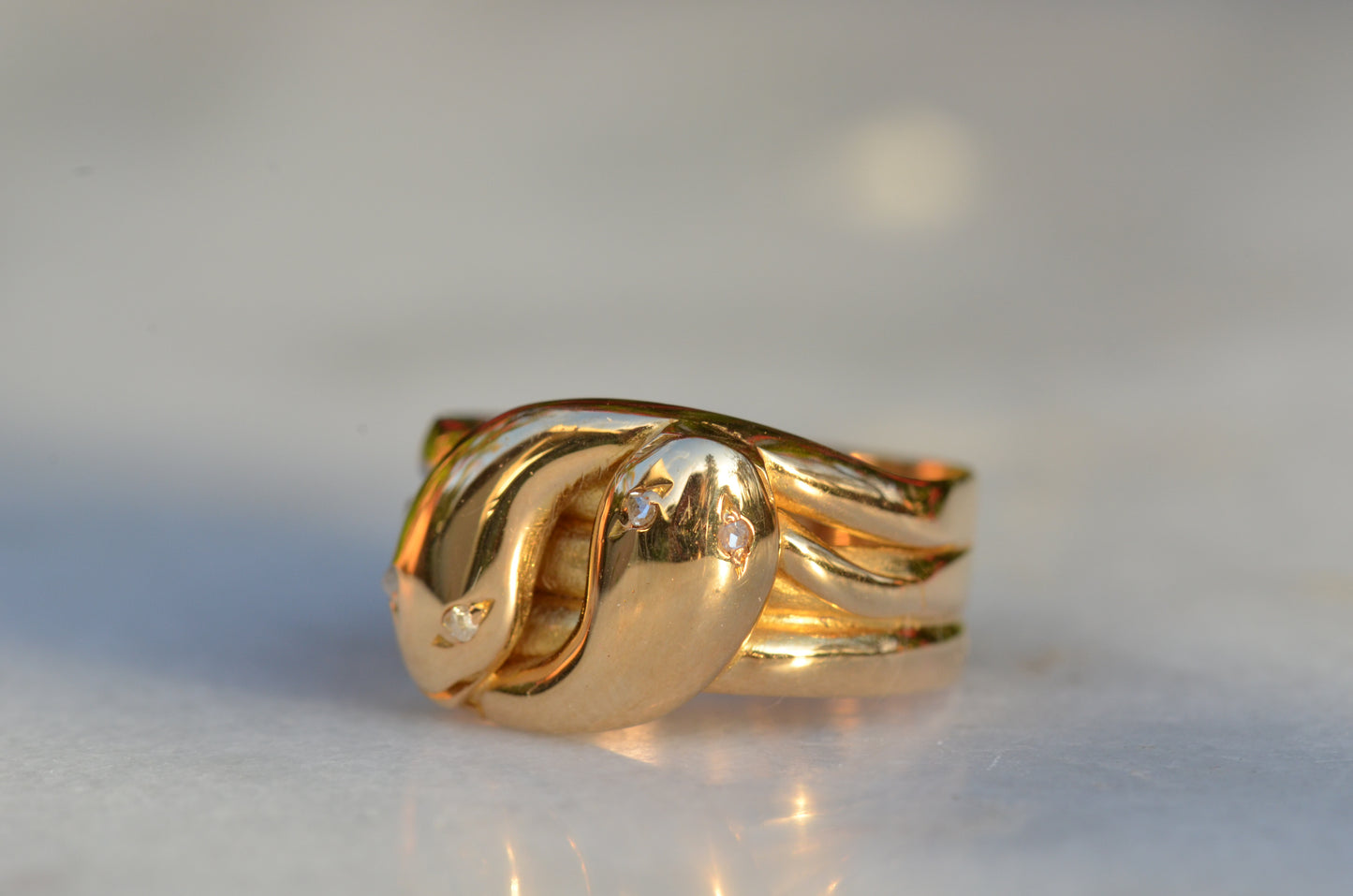 Chunky Antique Twin Snake Ring