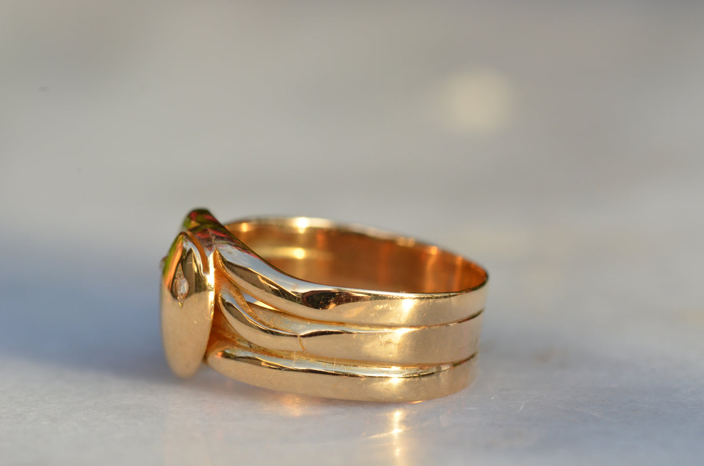 Chunky Antique Twin Snake Ring
