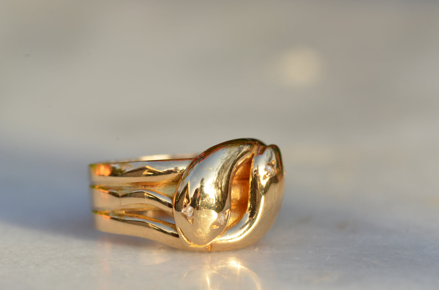 Chunky Antique Twin Snake Ring