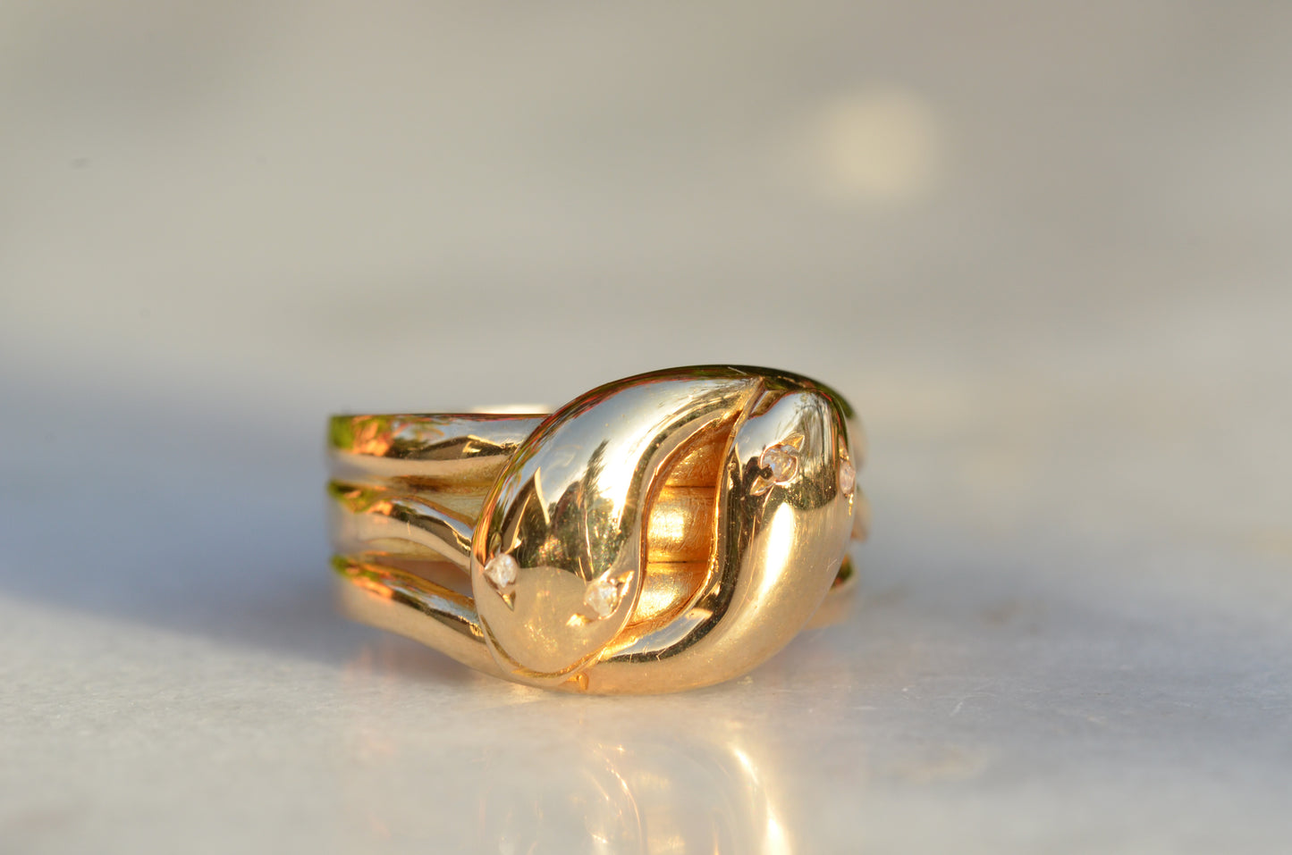 Chunky Antique Twin Snake Ring
