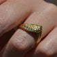 Sinuous Channel Snake Band