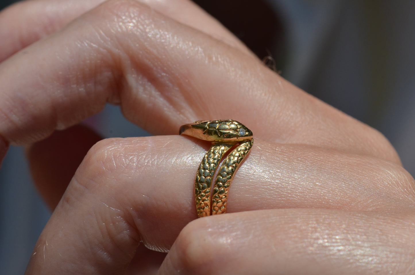 Sinuous Channel Snake Band