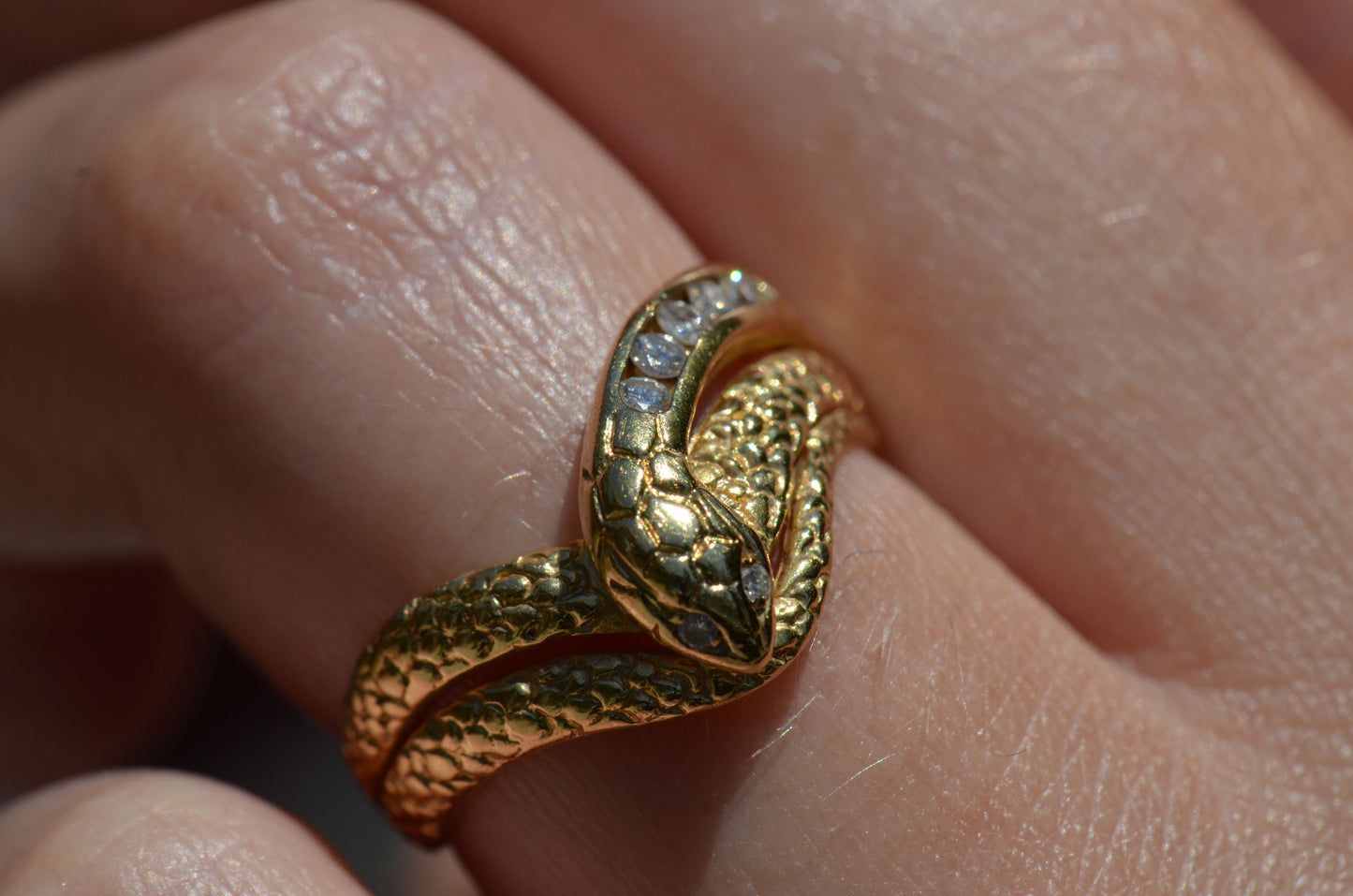 Sinuous Channel Snake Band