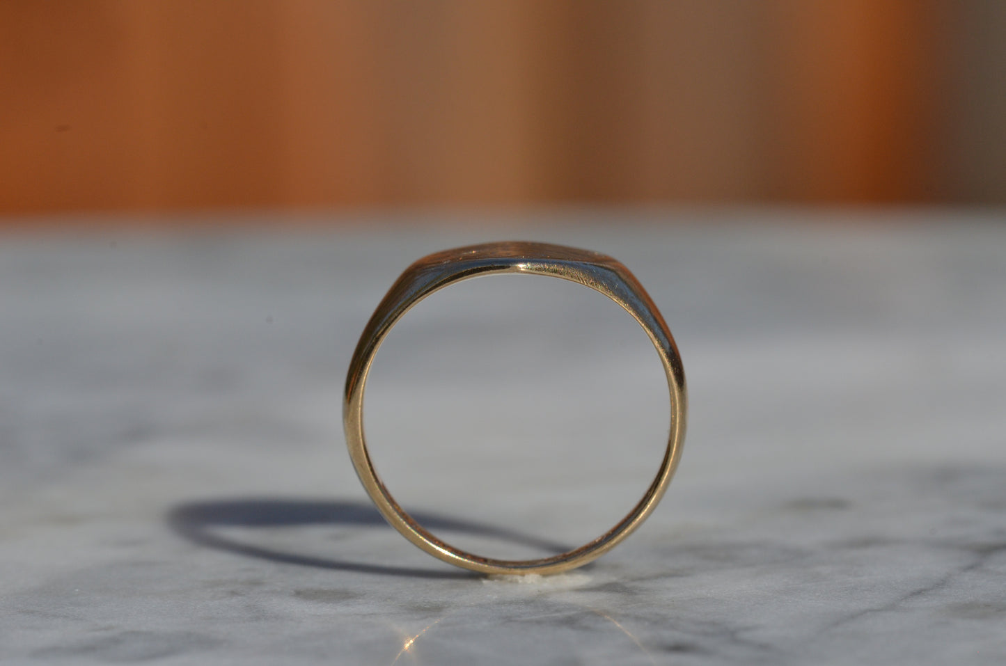 Sleek Lion Signet Ring