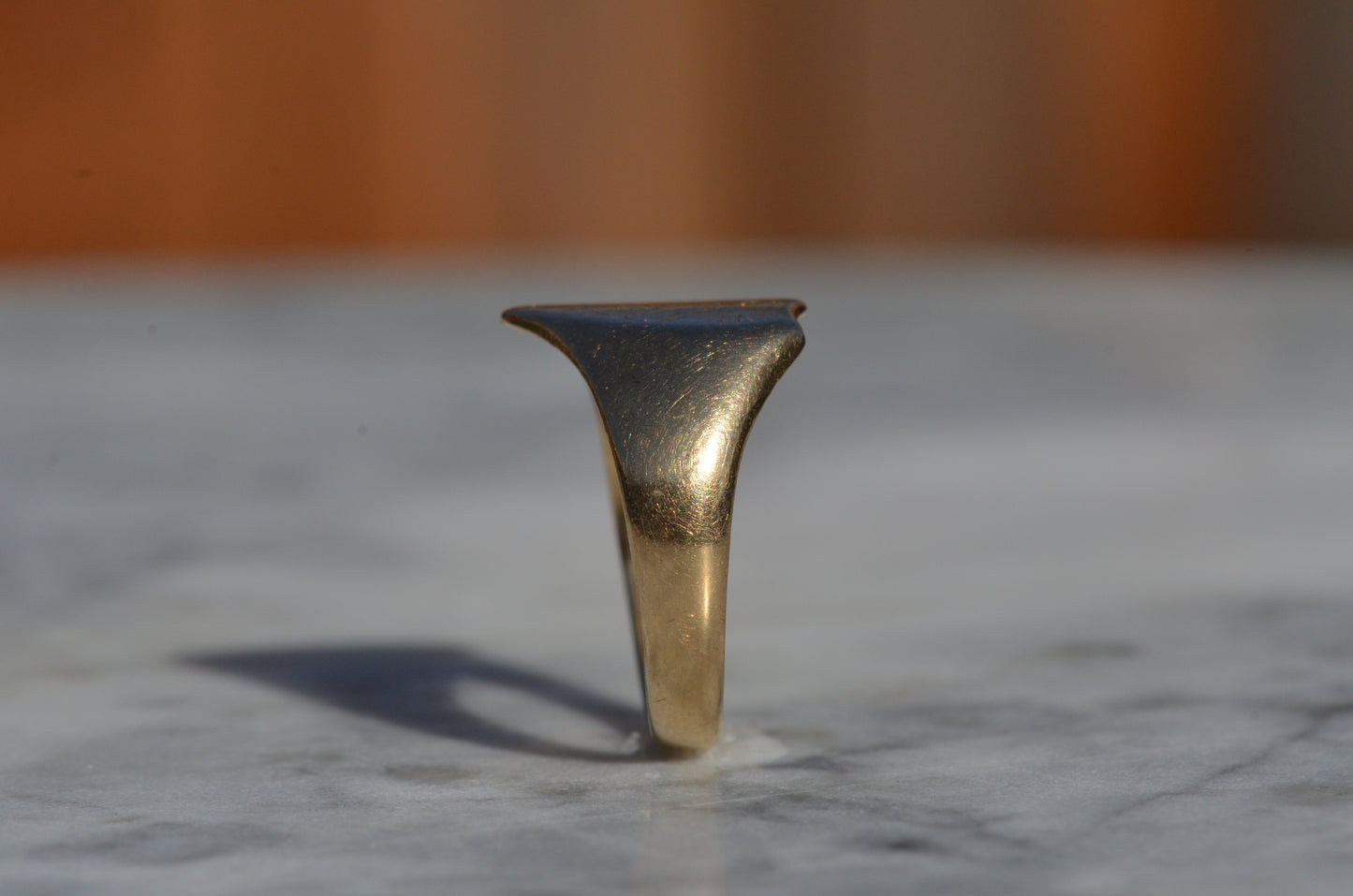 Sleek Lion Signet Ring