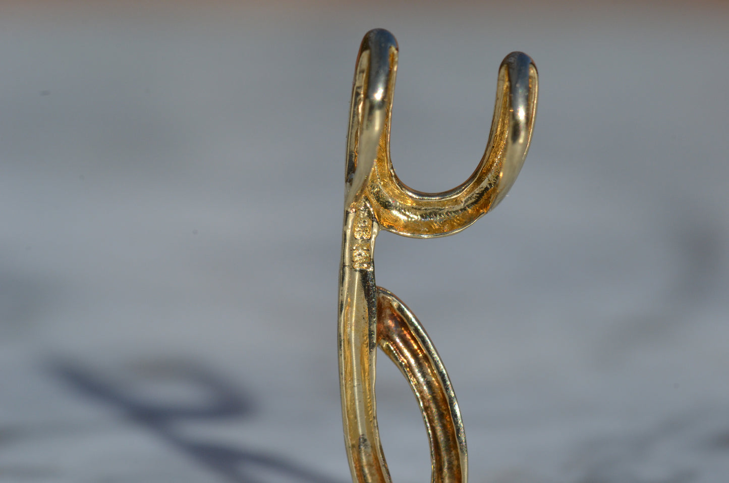 Swooping Y Slider Charm