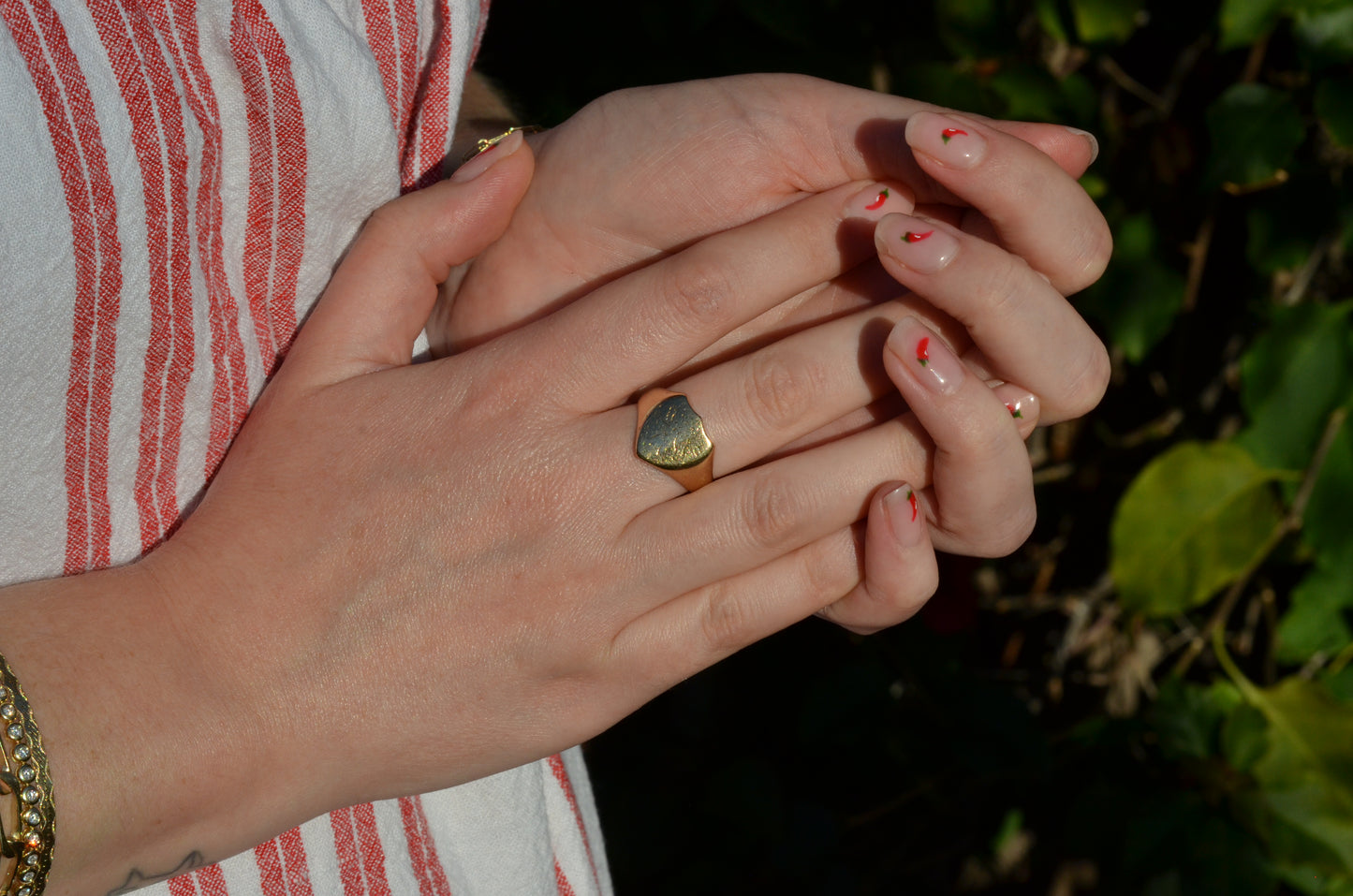 Sleek Lion Signet Ring