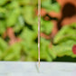 Unique Vintage Gold Toothpick Charm