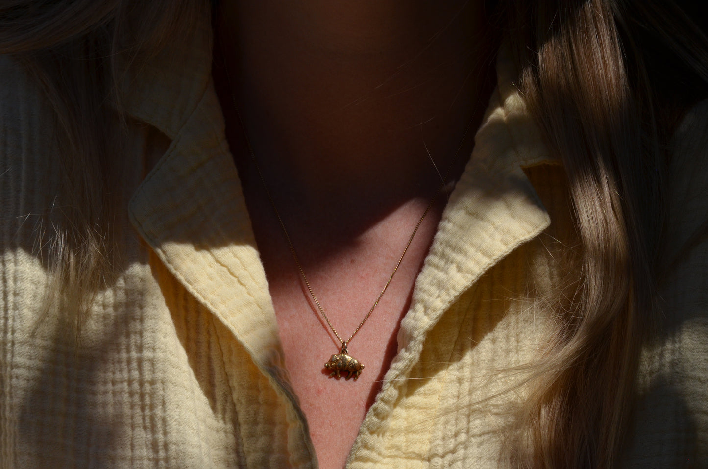 Charming Vintage Boar