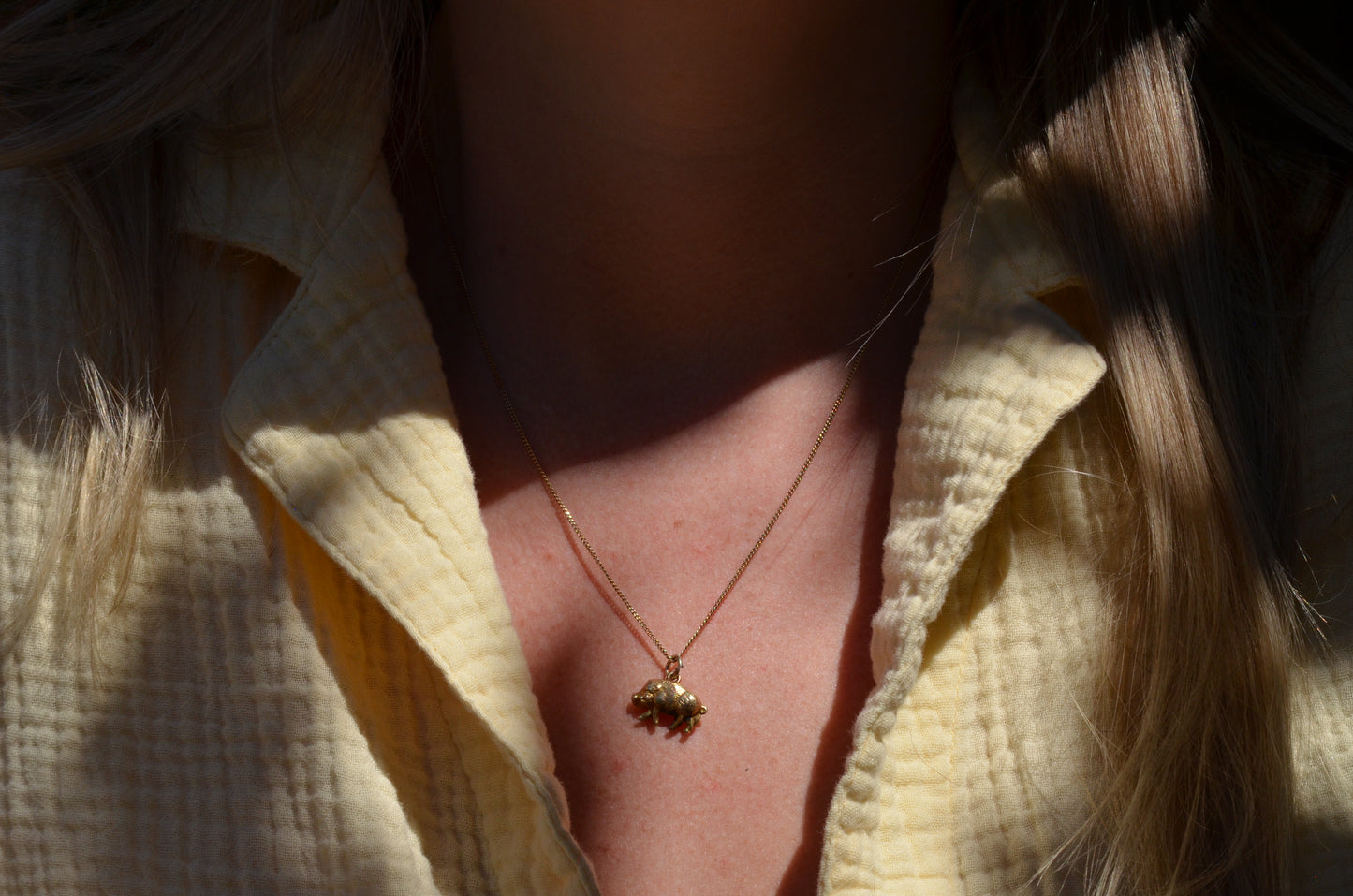 Charming Vintage Boar