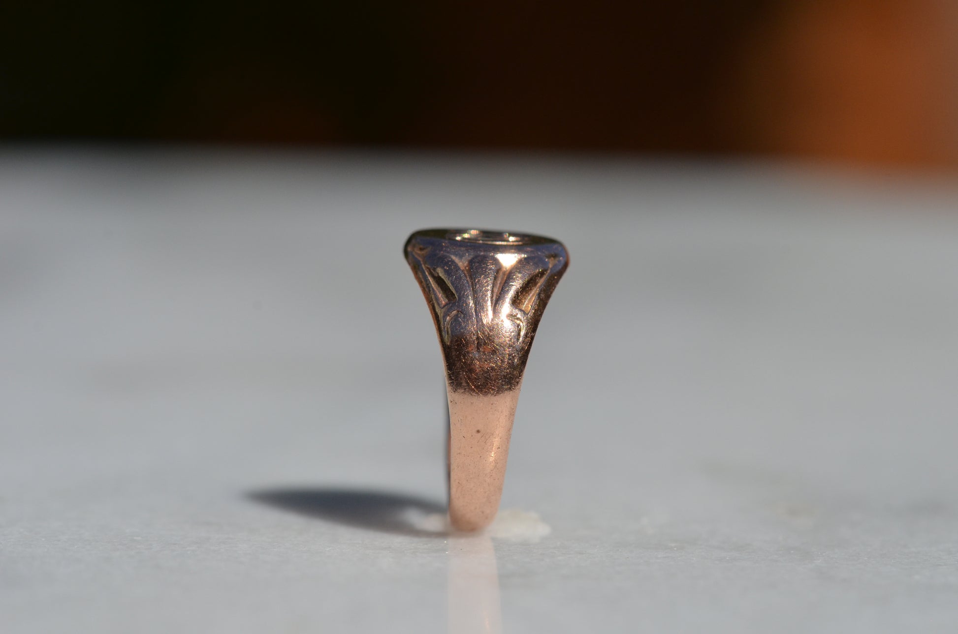 The ring is positioned upright and viewed in profile.