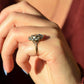 Outstanding Antique Cluster Ring