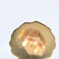 Summery Vintage Gold Shell Studs