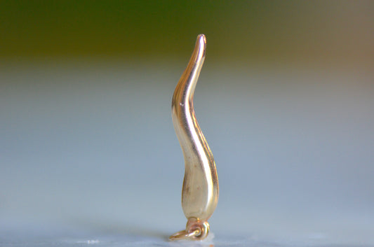 Sleek 14k Cornicello