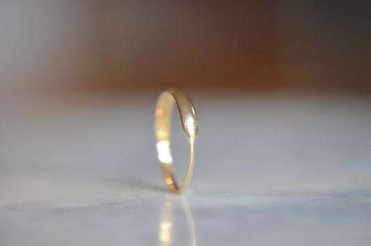 Early Victorian Minimalist Ouroboros "Marie"